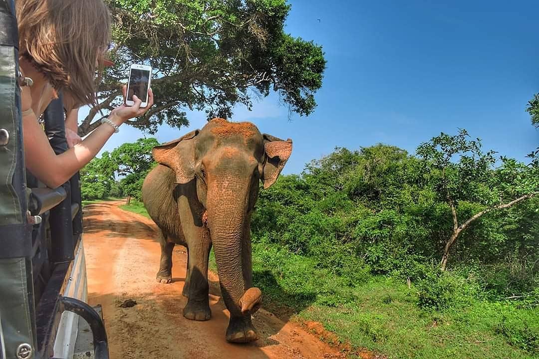 Sri Lanka Wildlife