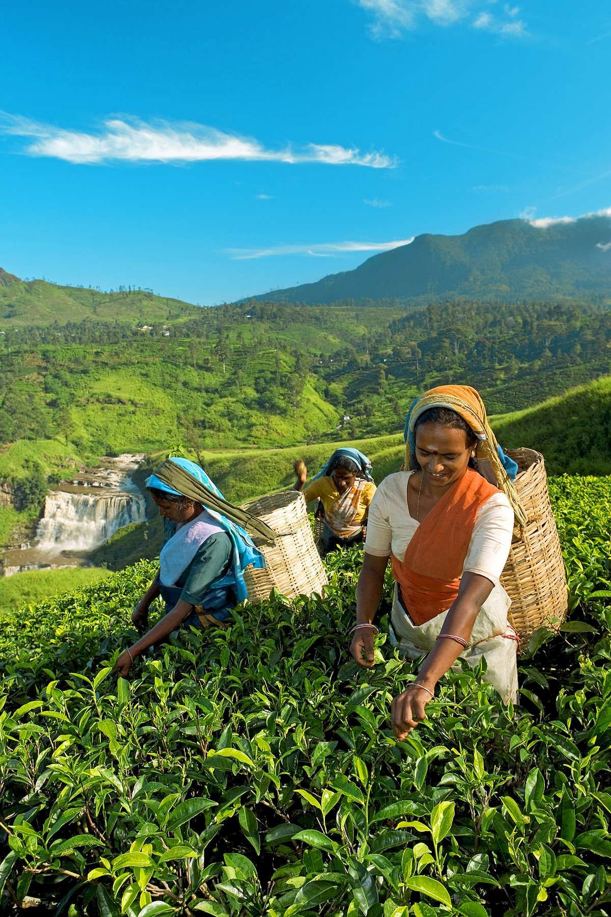 1394e4abc9ea2c01e9b5870294a9de31