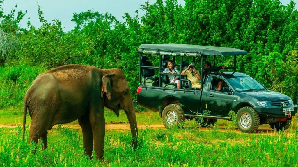 Yala National Park