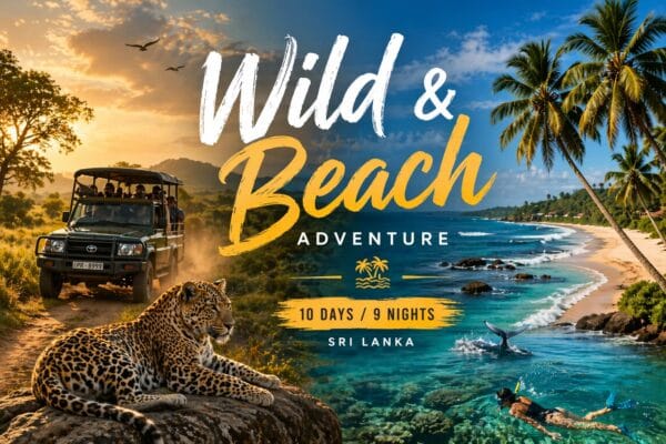 Wild & Beach Adventure