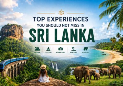 Top Experiences You Should Not Miss in Sri Lanka