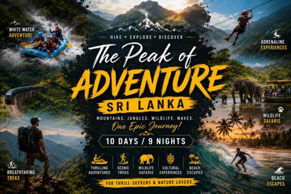 The Peak of Adventure