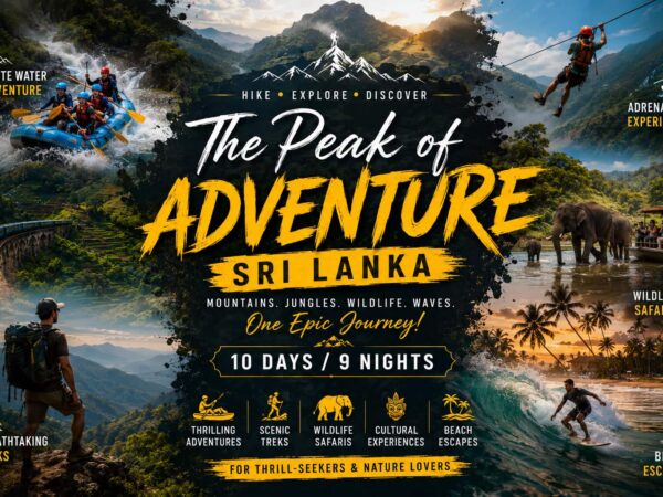 The Peak of Adventure